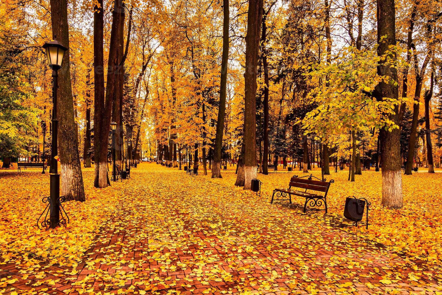 Golden autumn in a city park with trees and fallen leaves on a cloudy day. photo