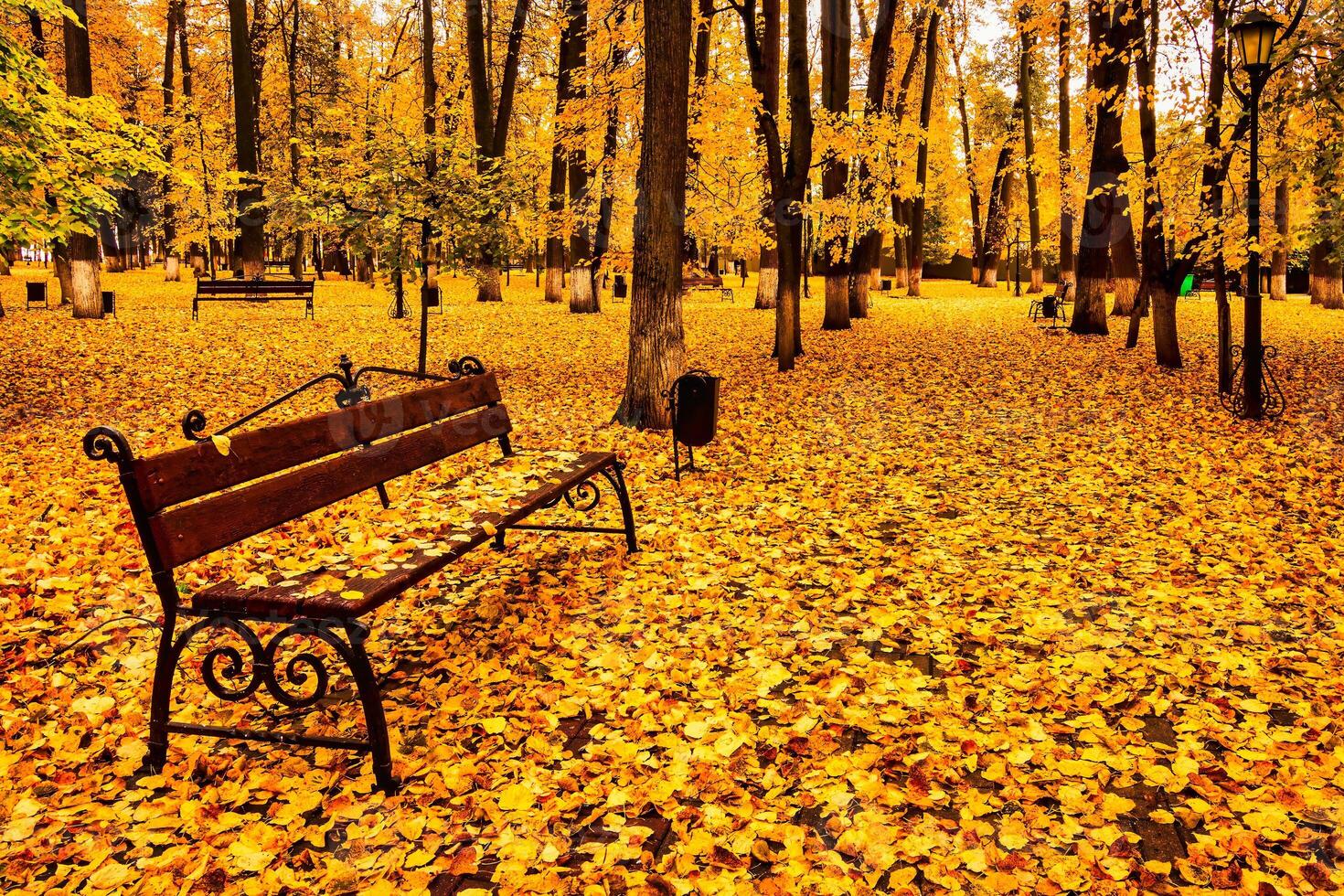 Golden autumn in a city park with trees and fallen leaves on a cloudy day. photo