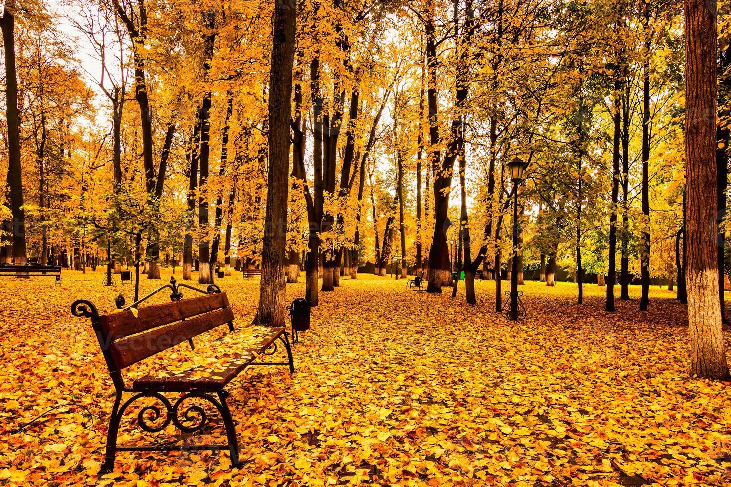 Golden autumn in a city park with trees and fallen leaves on a cloudy day. photo