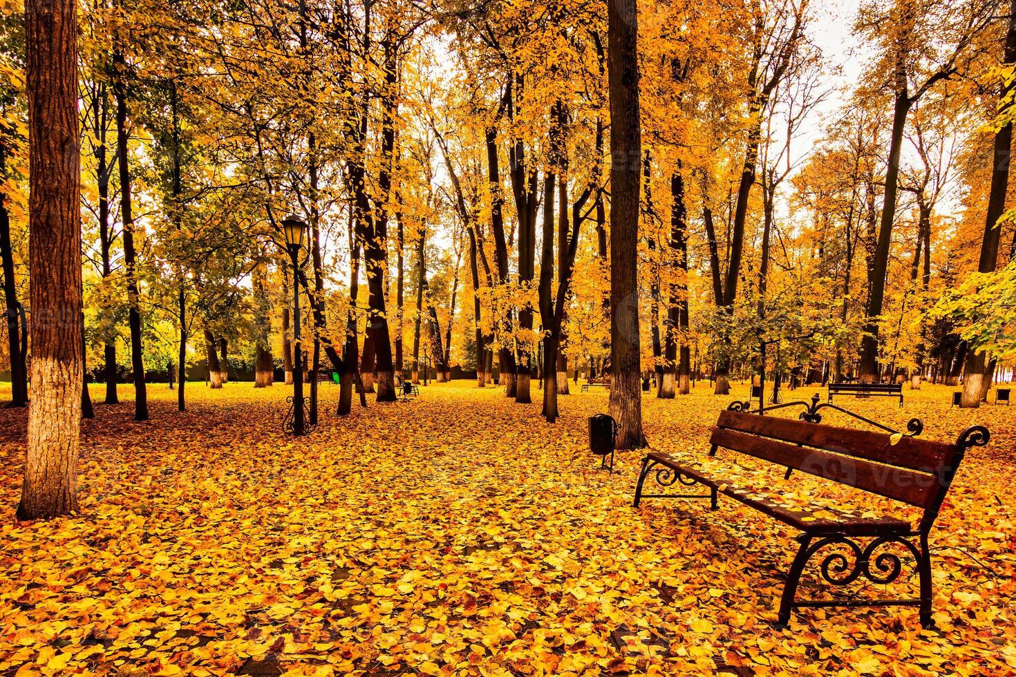 Golden autumn in a city park with trees and fallen leaves on a cloudy day. photo