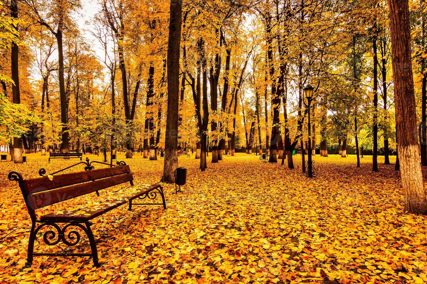 Golden autumn in a city park with trees and fallen leaves on a cloudy day. photo