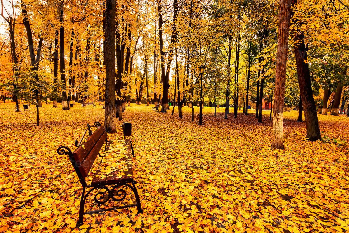 Golden autumn in a city park with trees and fallen leaves on a cloudy day. photo