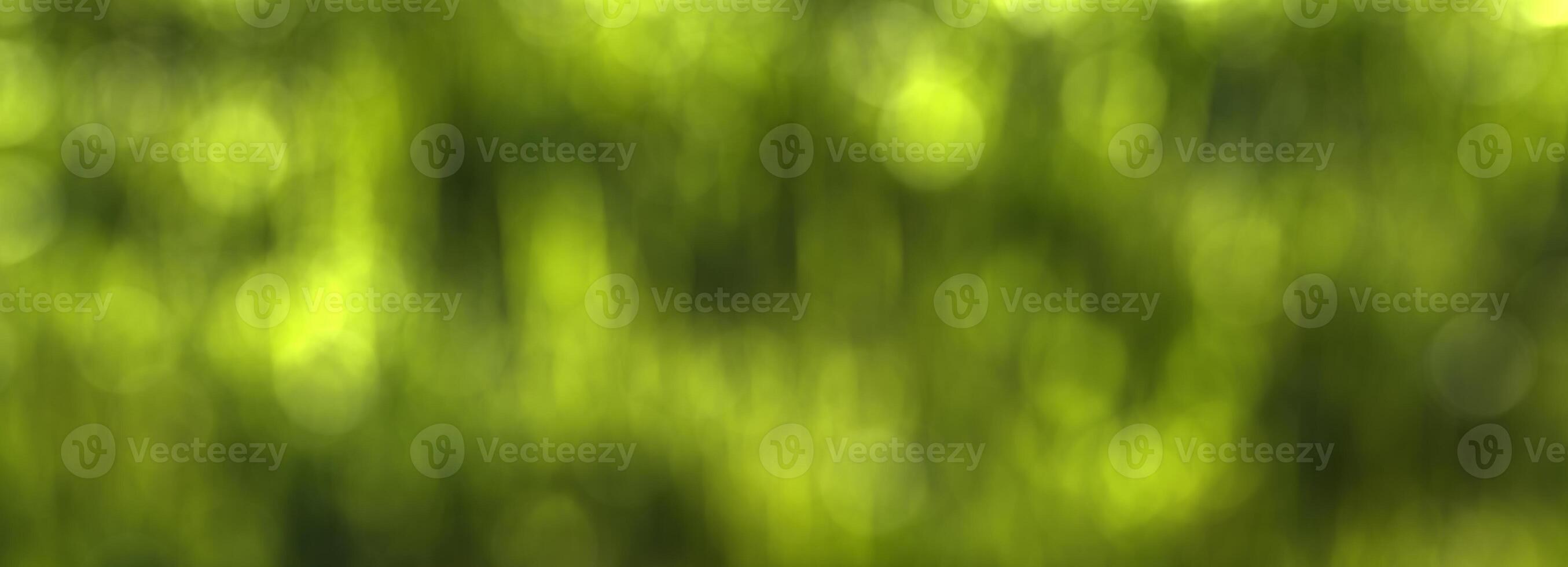 Blurred bokeh background image of bright green foliage in spring. photo