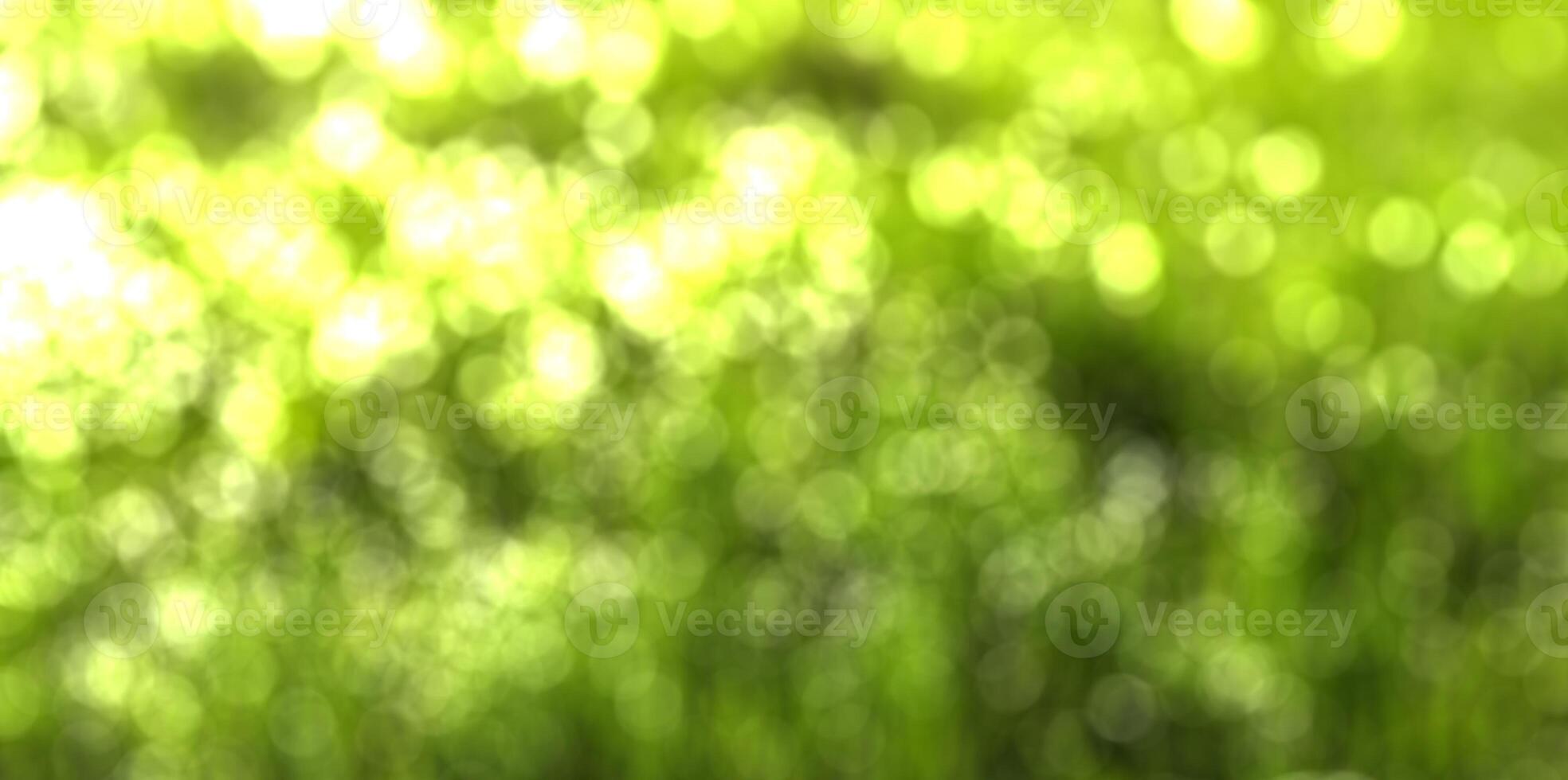Blurred bokeh background image of bright green foliage in spring. photo