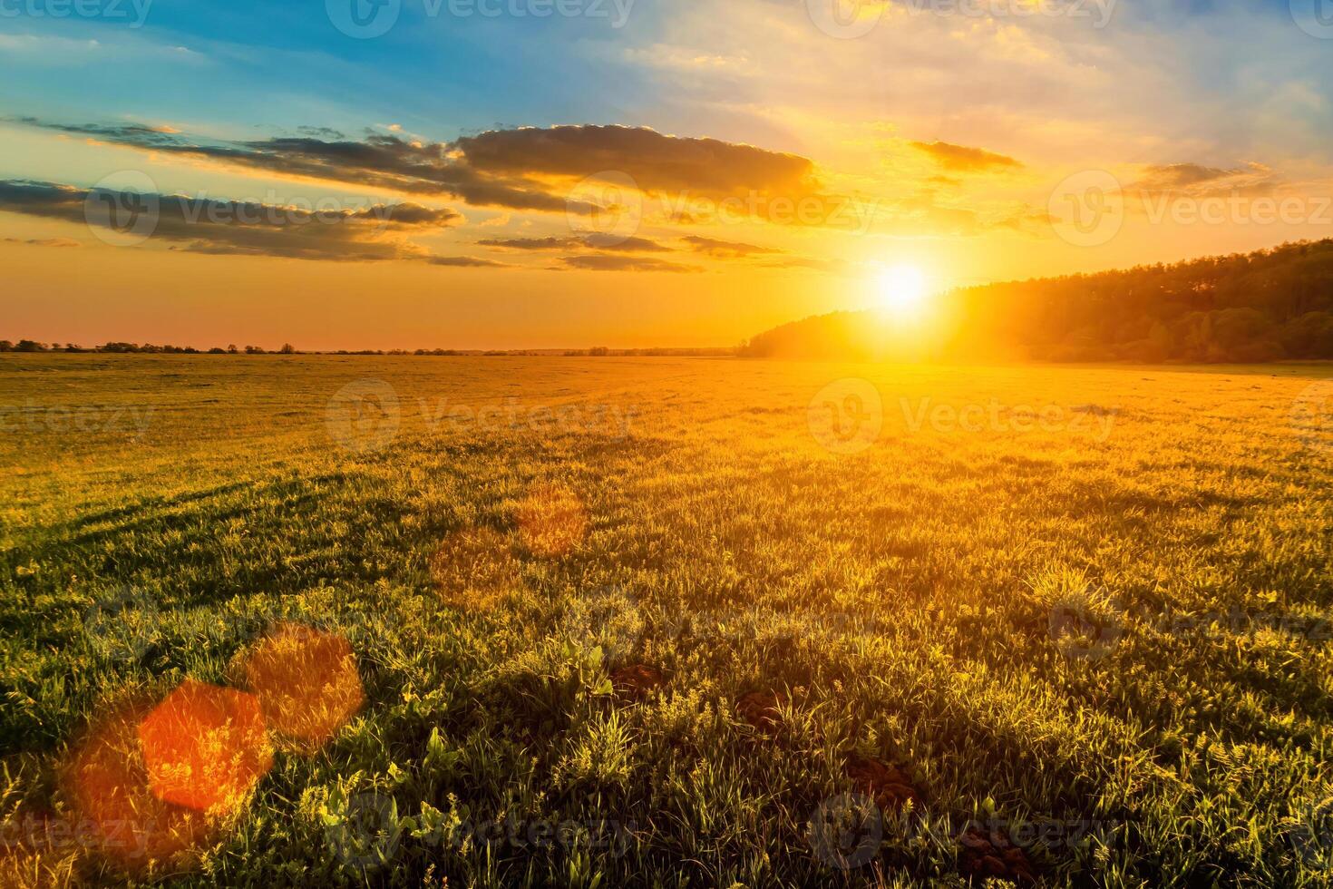 Sunset or sunrise in a spring field with green grass, willow trees and cloudy sky. photo