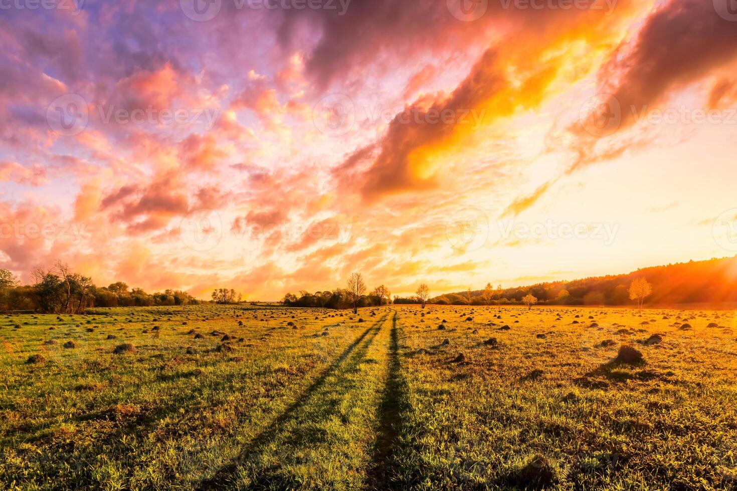 Sunset or sunrise in a spring field with green grass, willow trees and cloudy sky. photo