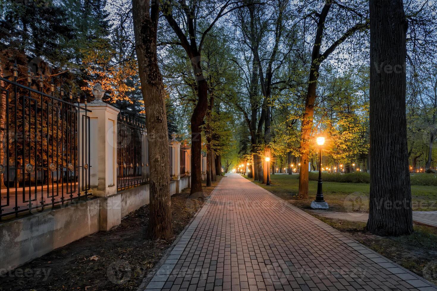City night park in early summer or spring with pavement, lanterns, young green leaves and trees. photo
