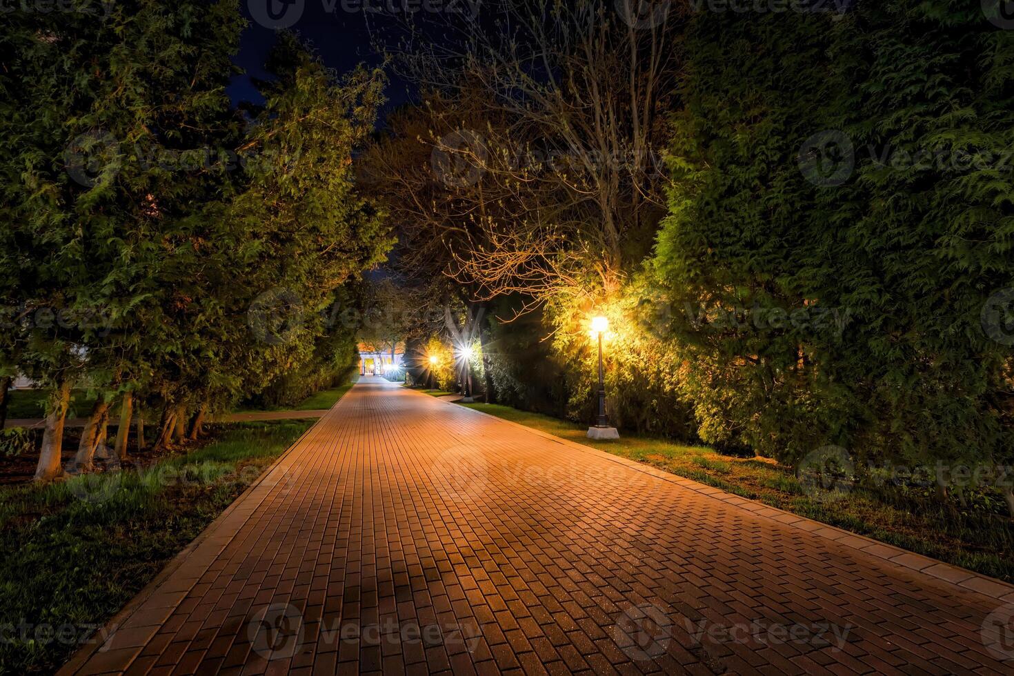 City night park in early summer or spring with pavement, lanterns, young green leaves and trees. photo