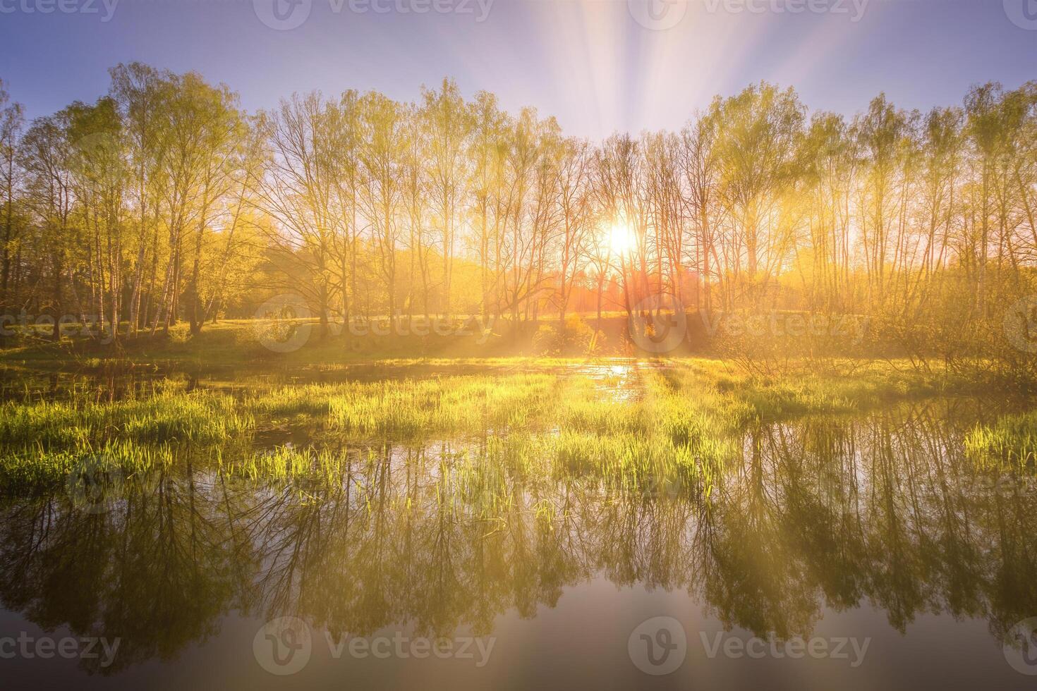 Sunrise near a pond with birches on the shore and fog over the water on a spring morning. Sun rays breaking through trees. photo