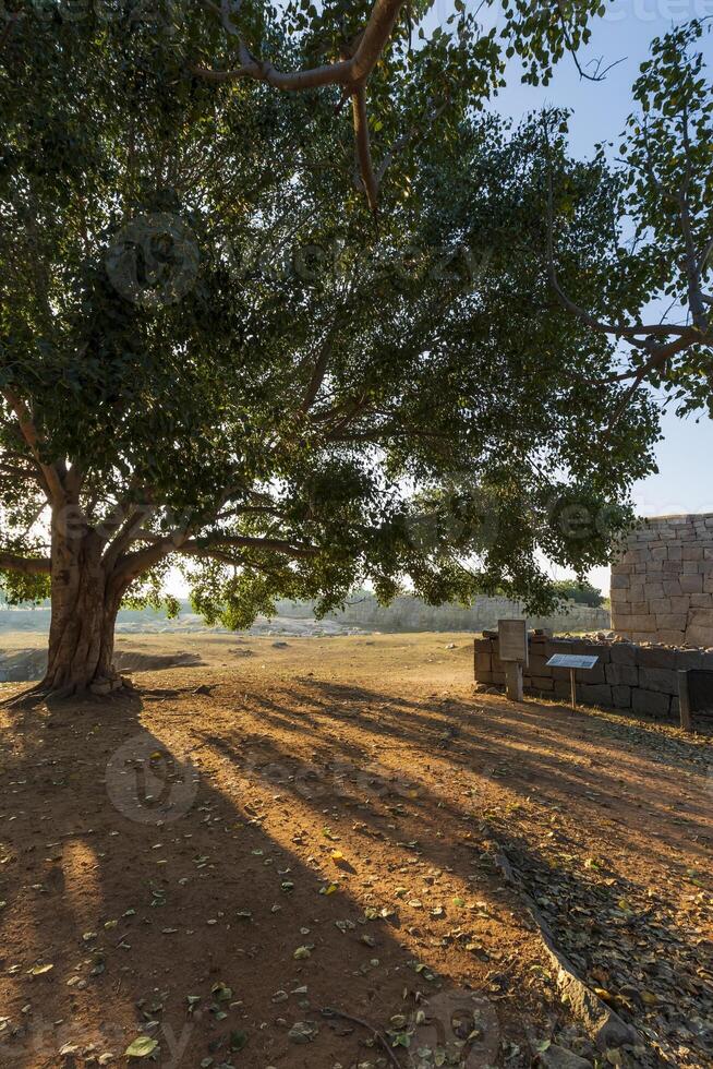 Ancient civilization in Hampi. photo