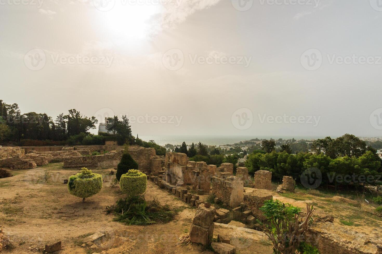 Ancient ruins of Carthage photo