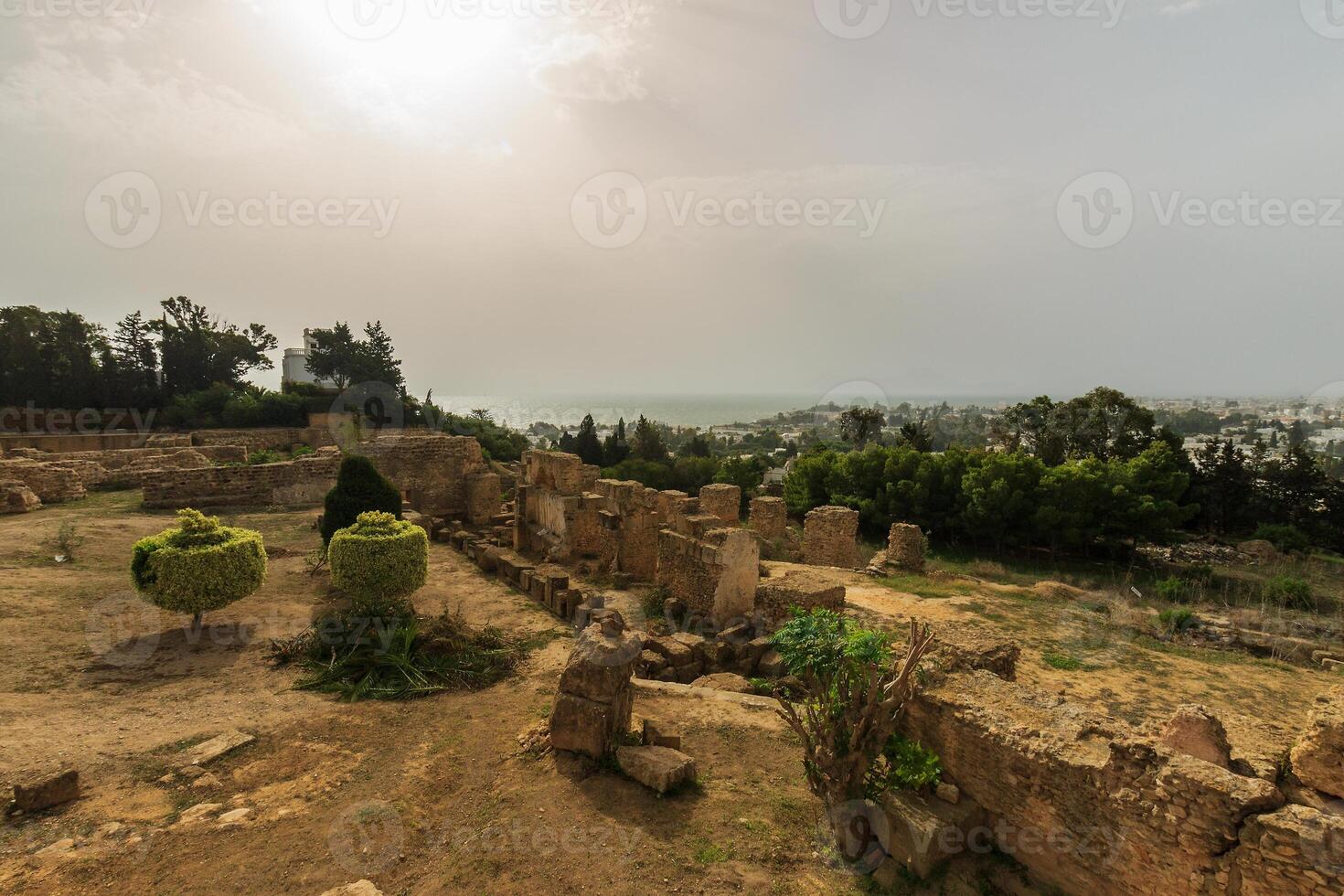 Ancient ruins of Carthage photo