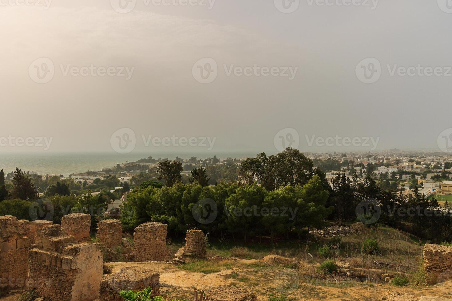 Ancient ruins of Carthage photo