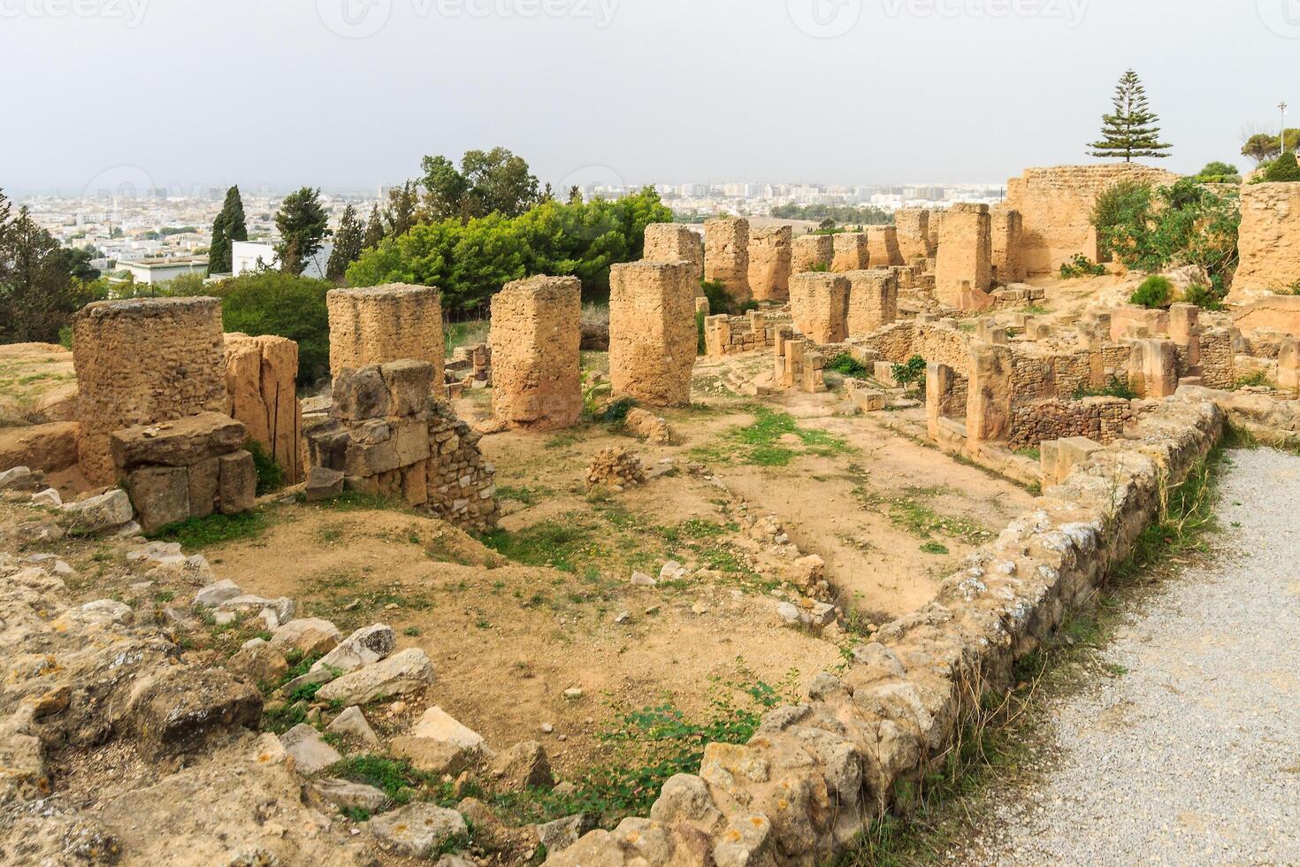 Ancient ruins of Carthage photo