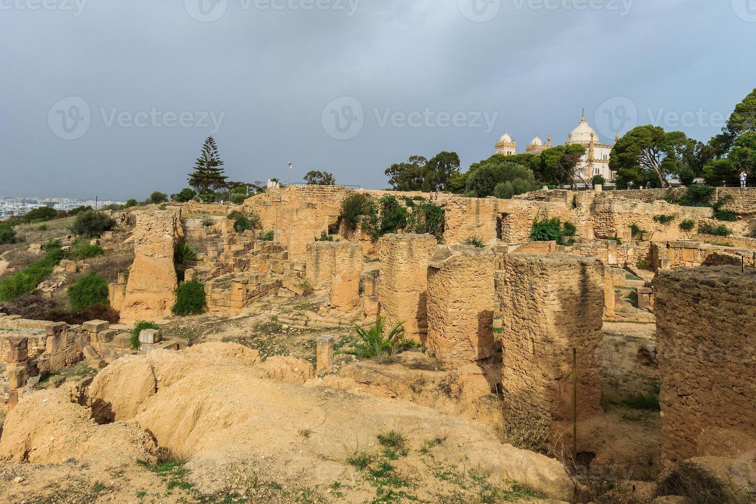 Ancient ruins of Carthage photo
