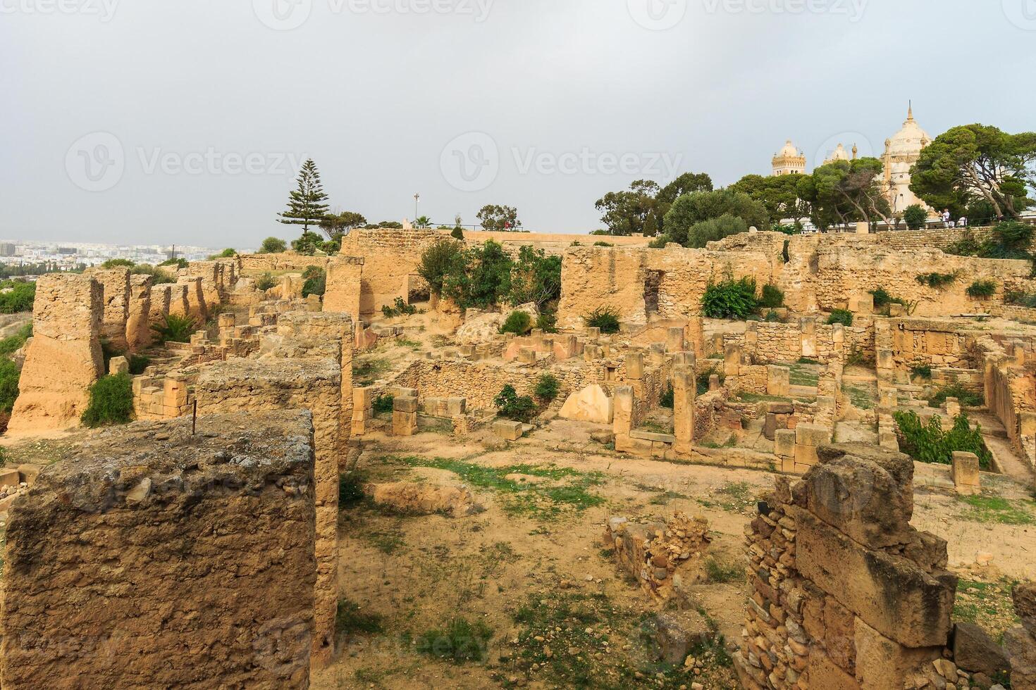 Ancient ruins of Carthage photo