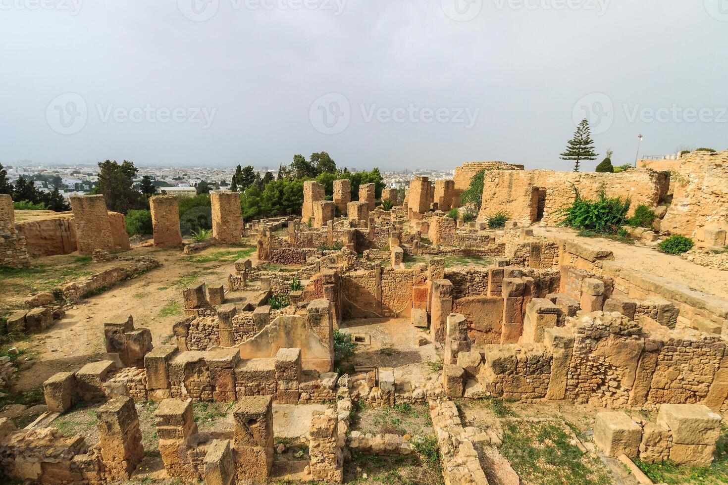 Ancient ruins of Carthage photo