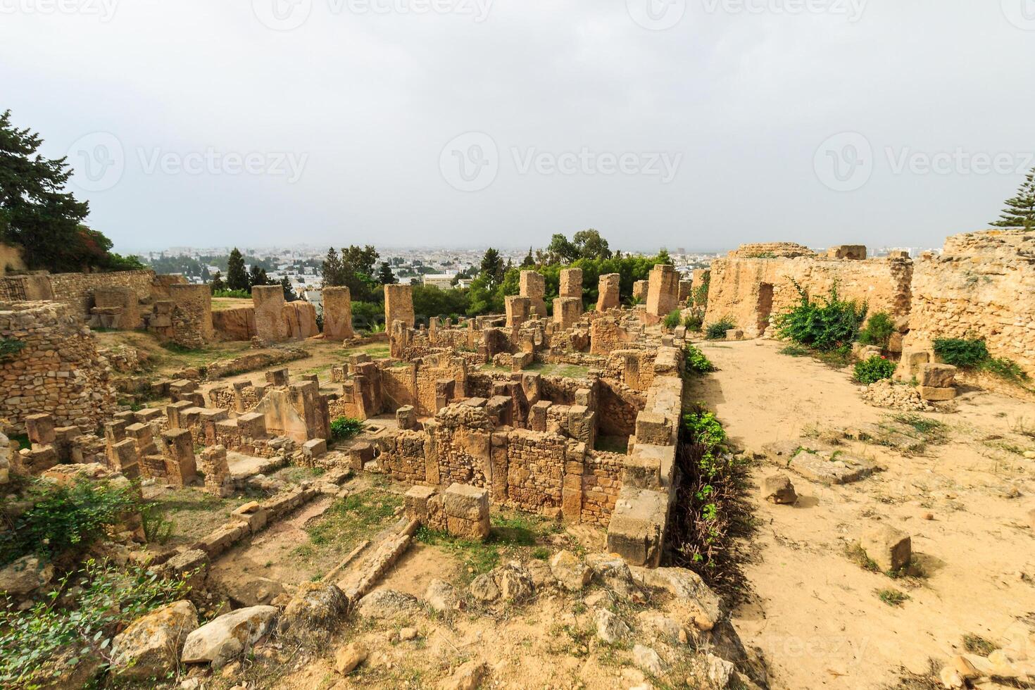 Ancient ruins of Carthage photo