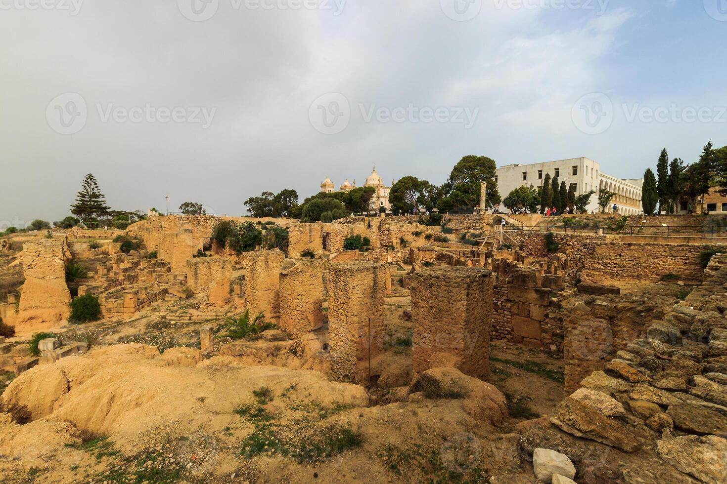 Ancient ruins of Carthage photo