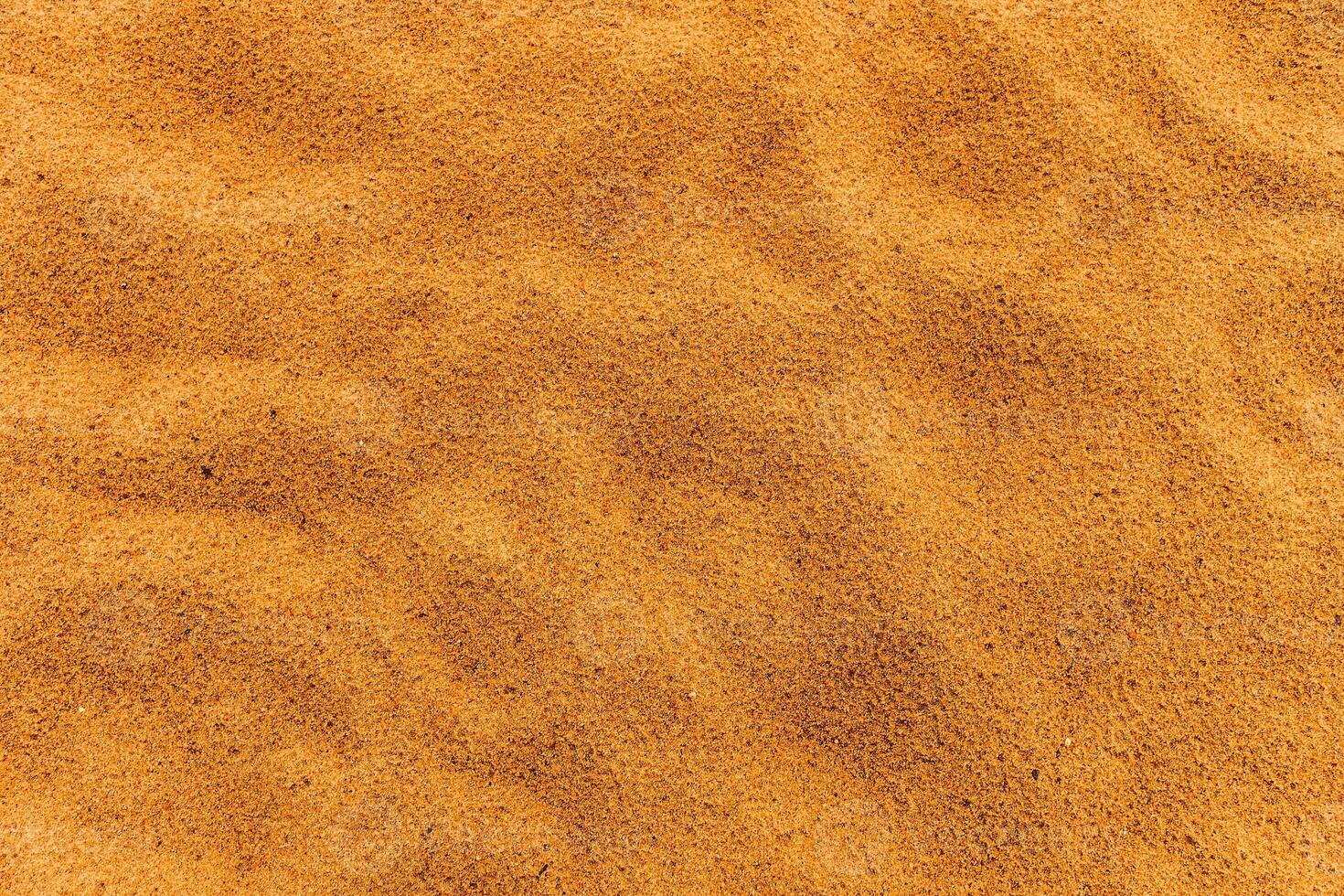 Sandy beach. Detailed sand texture photo