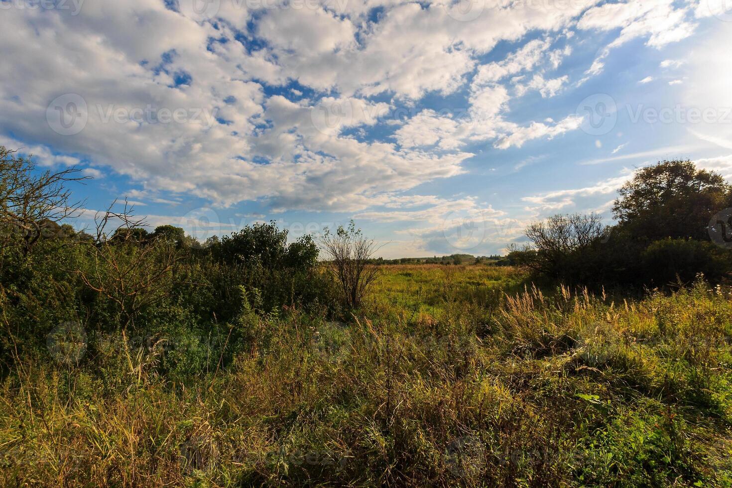 Autumn landscape with green grass on a meadow and cloudly sky photo
