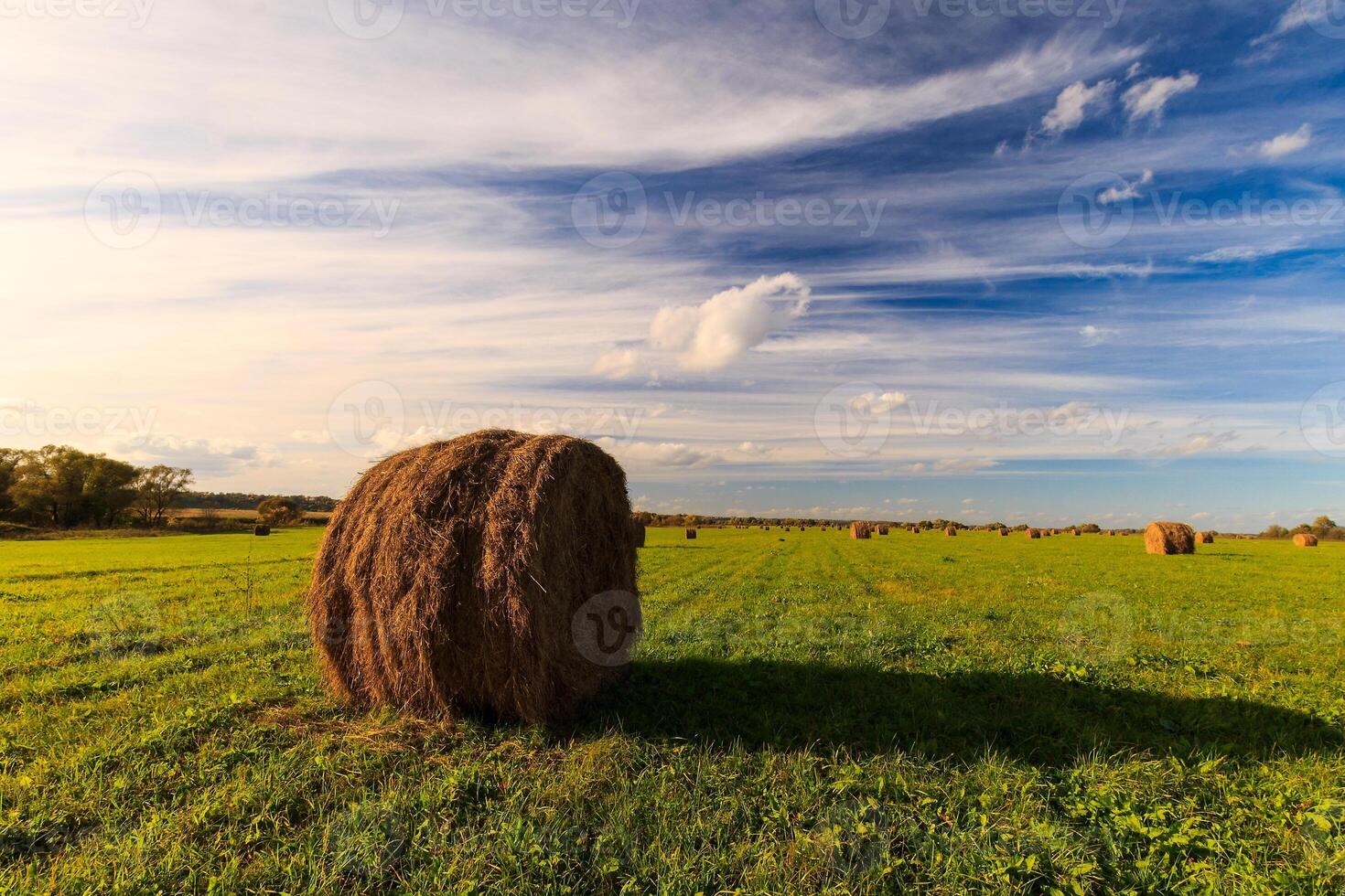 field with haystacks at sunset in early autumn photo
