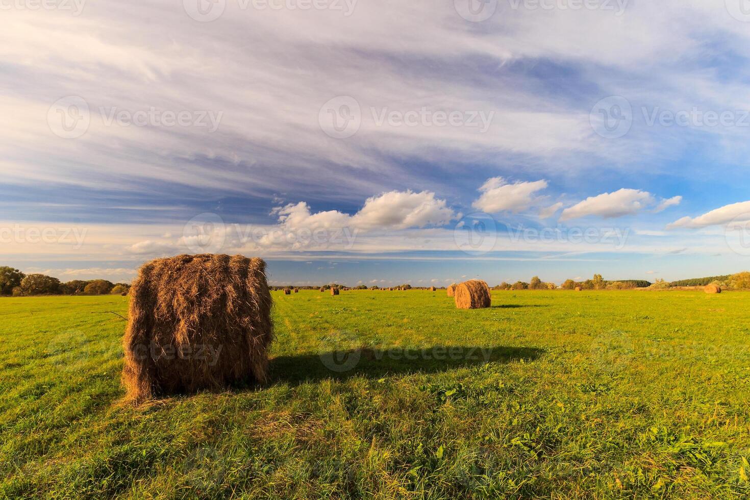 field with haystacks at sunset in early autumn photo