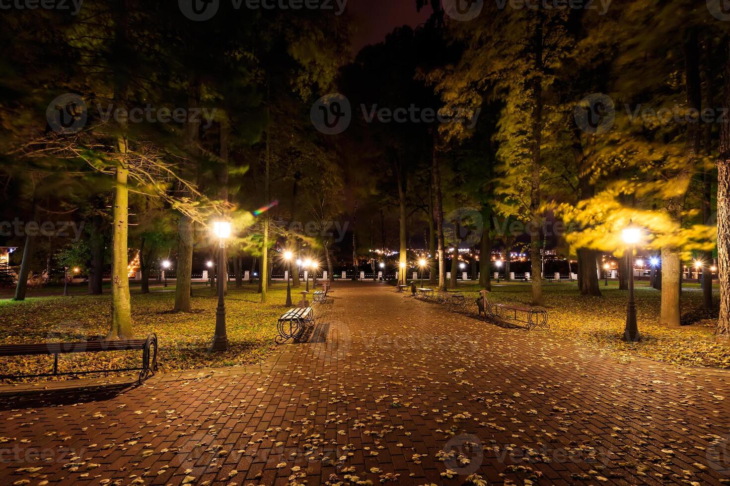 Night park in autumn with fallen yellow leaves. photo