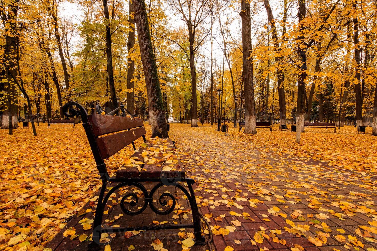 Leaf fall in the park in autumn with bench. photo