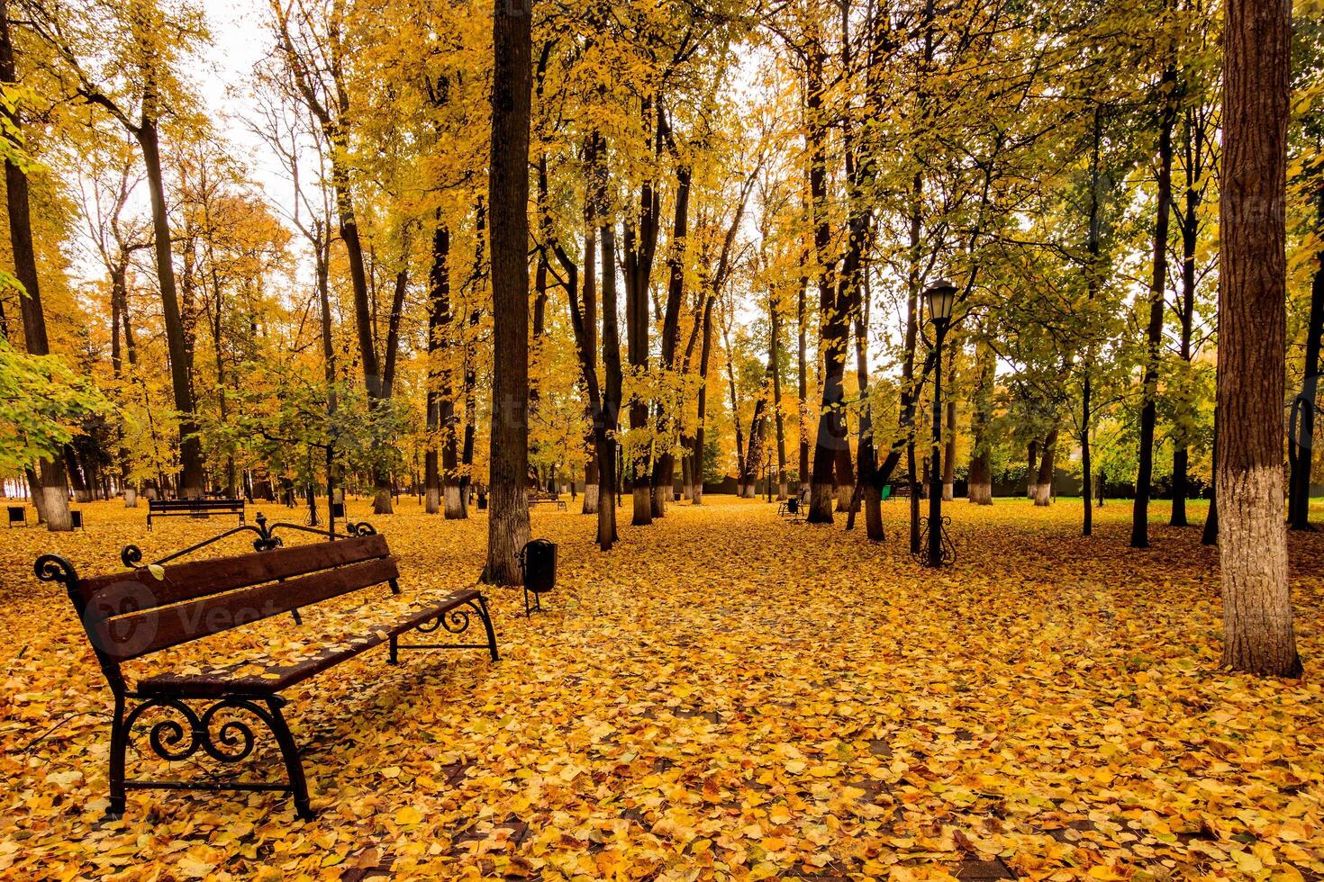 Leaf fall in the park in autumn with bench. photo