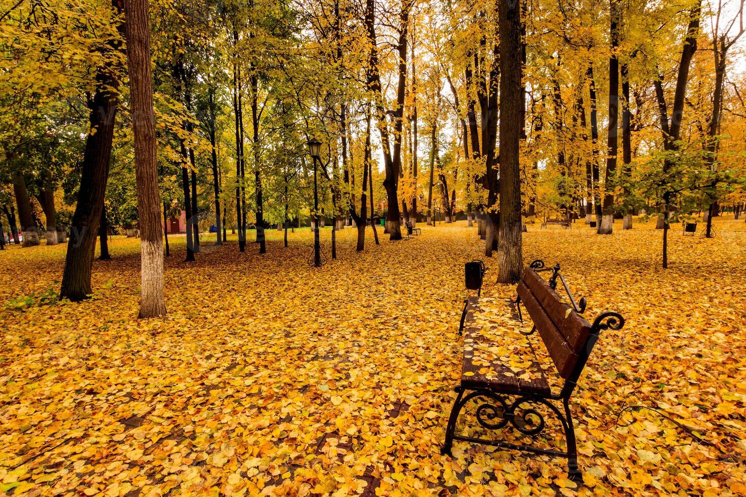Leaf fall in the park in autumn with bench. photo