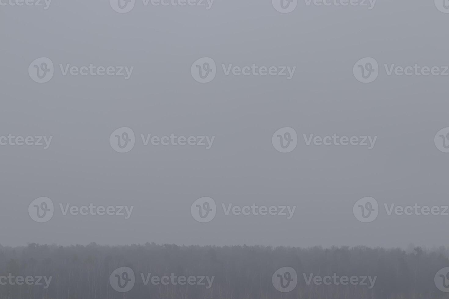 Foggy sky over the forest. photo