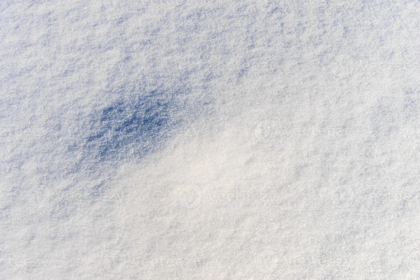 Snow texture at sunny winter day. Abstract background. photo