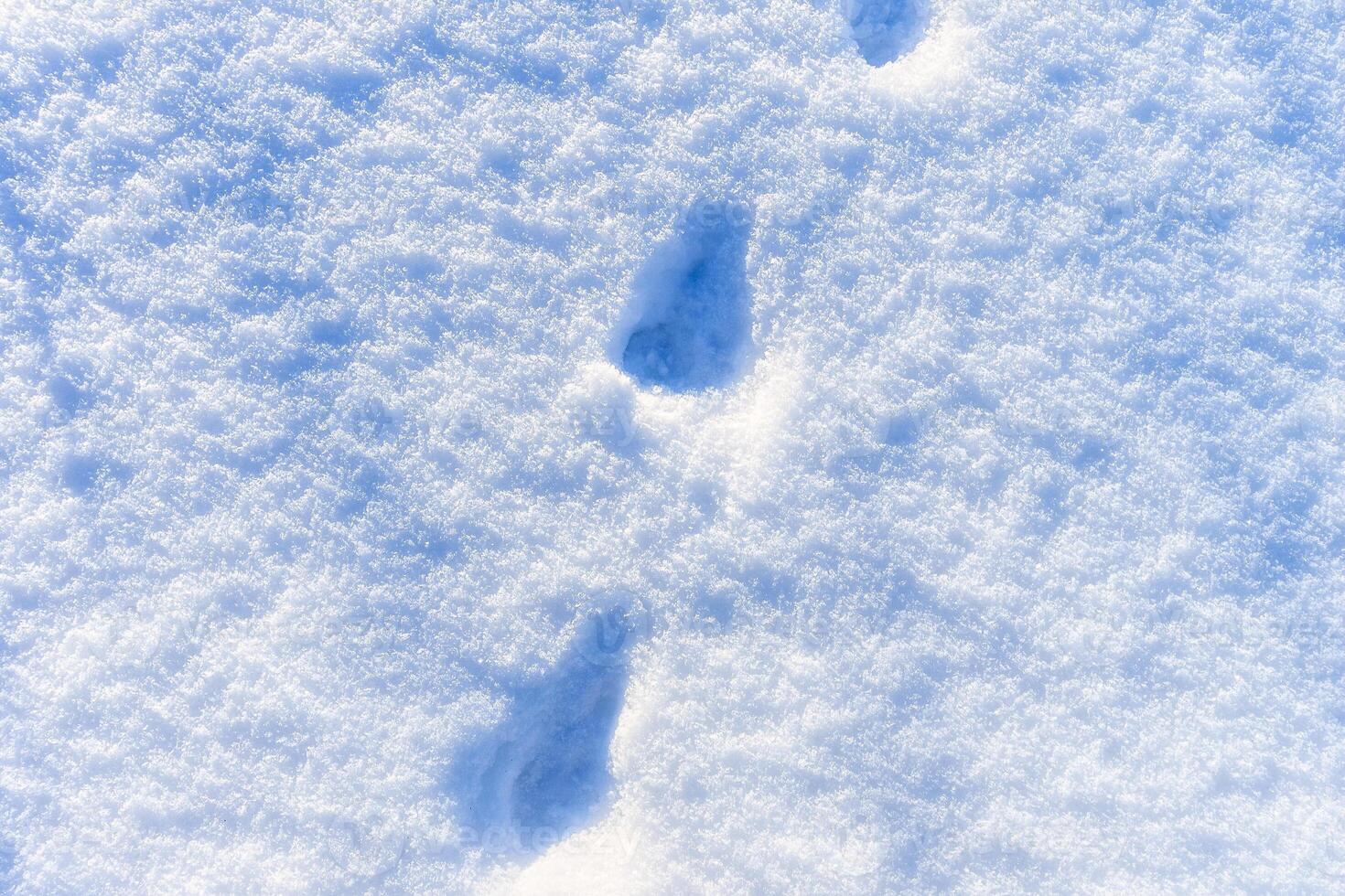 Snow texture at sunny winter day. Abstract background. photo
