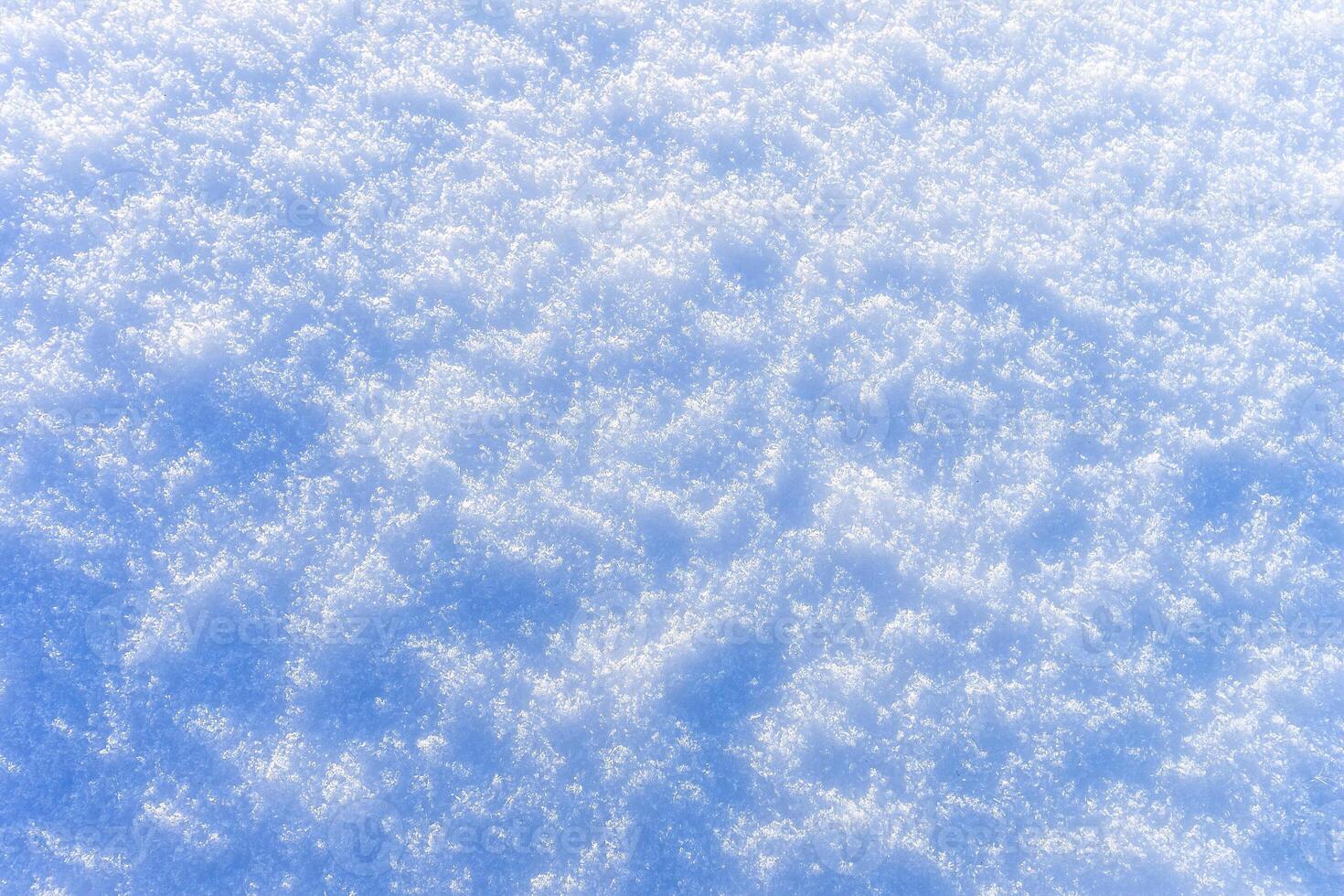 Snow texture at sunny winter day. Abstract background. photo