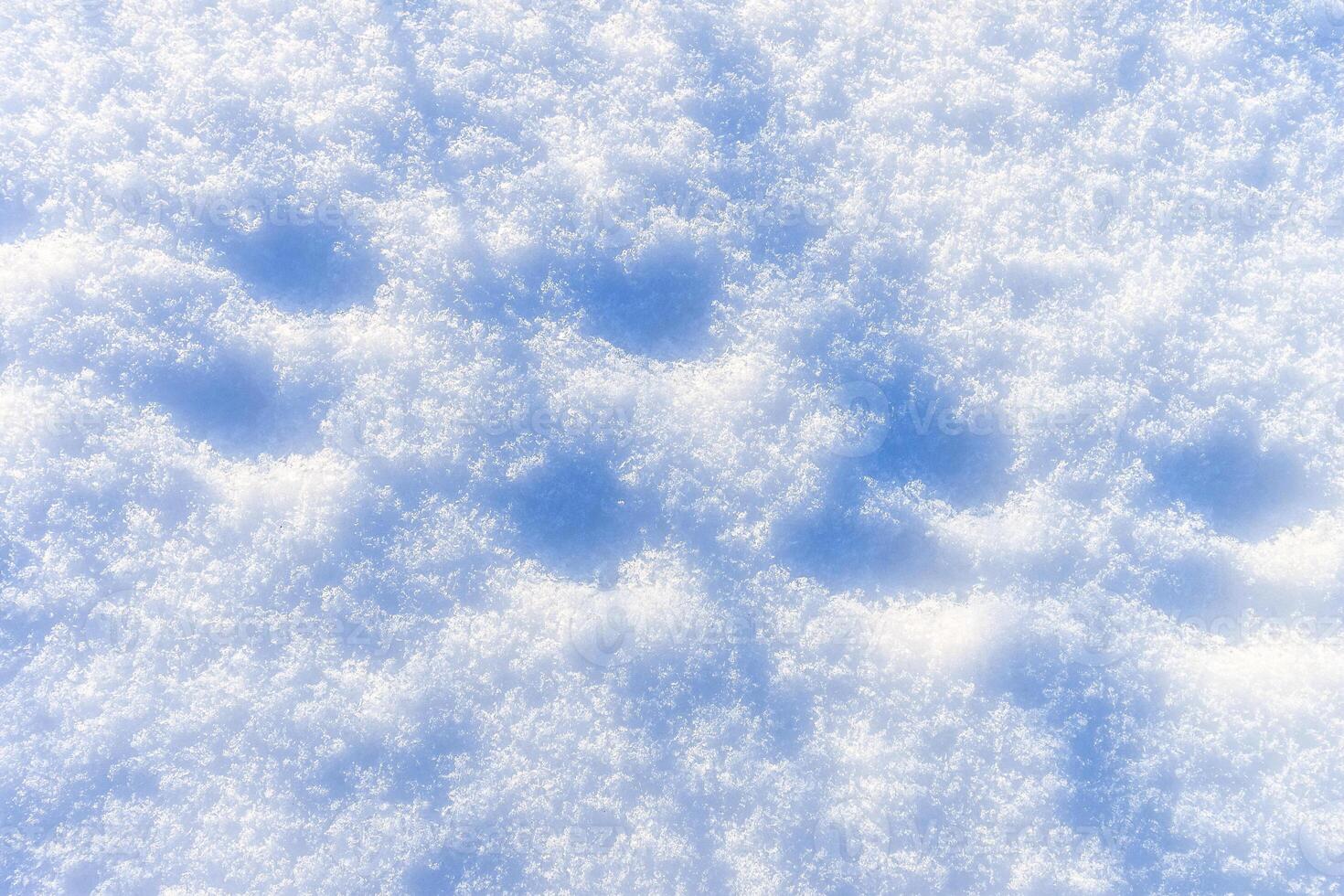 Snow texture at sunny winter day. Abstract background. photo