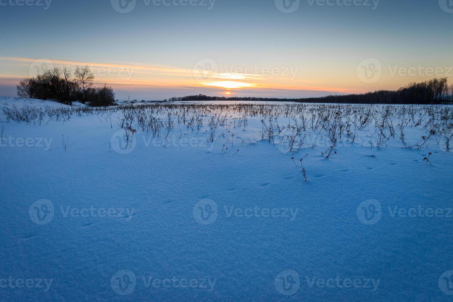 Twilight at field covered with snow in winter. photo