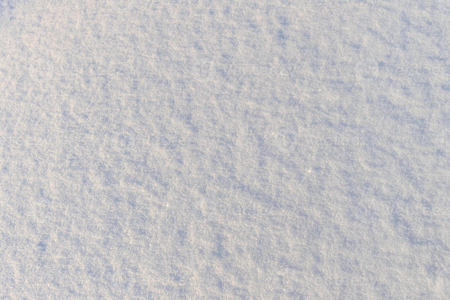Snow texture at sunny winter day. Abstract background. photo