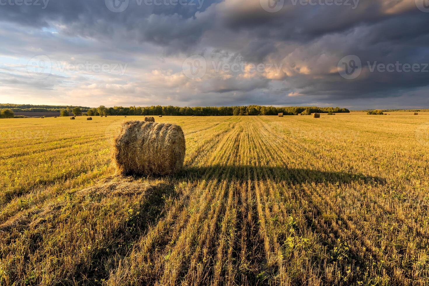 Scene with haystacks on the field in autumn sunny day. Rural landscape with cloudy sky background. photo