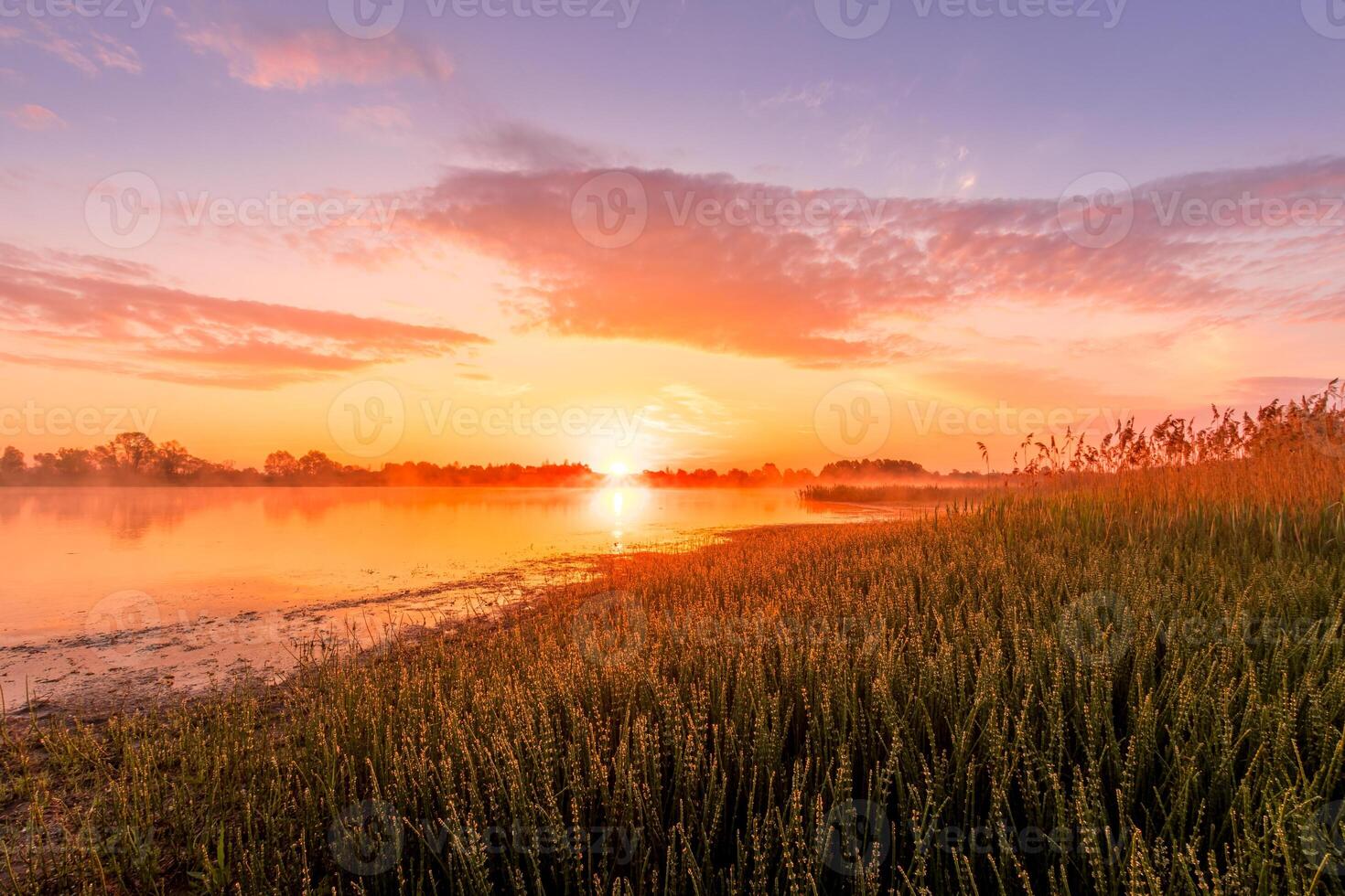 Scenic view of beautiful sunrise or dawn above the pond or lake at spring or early summer morning. photo