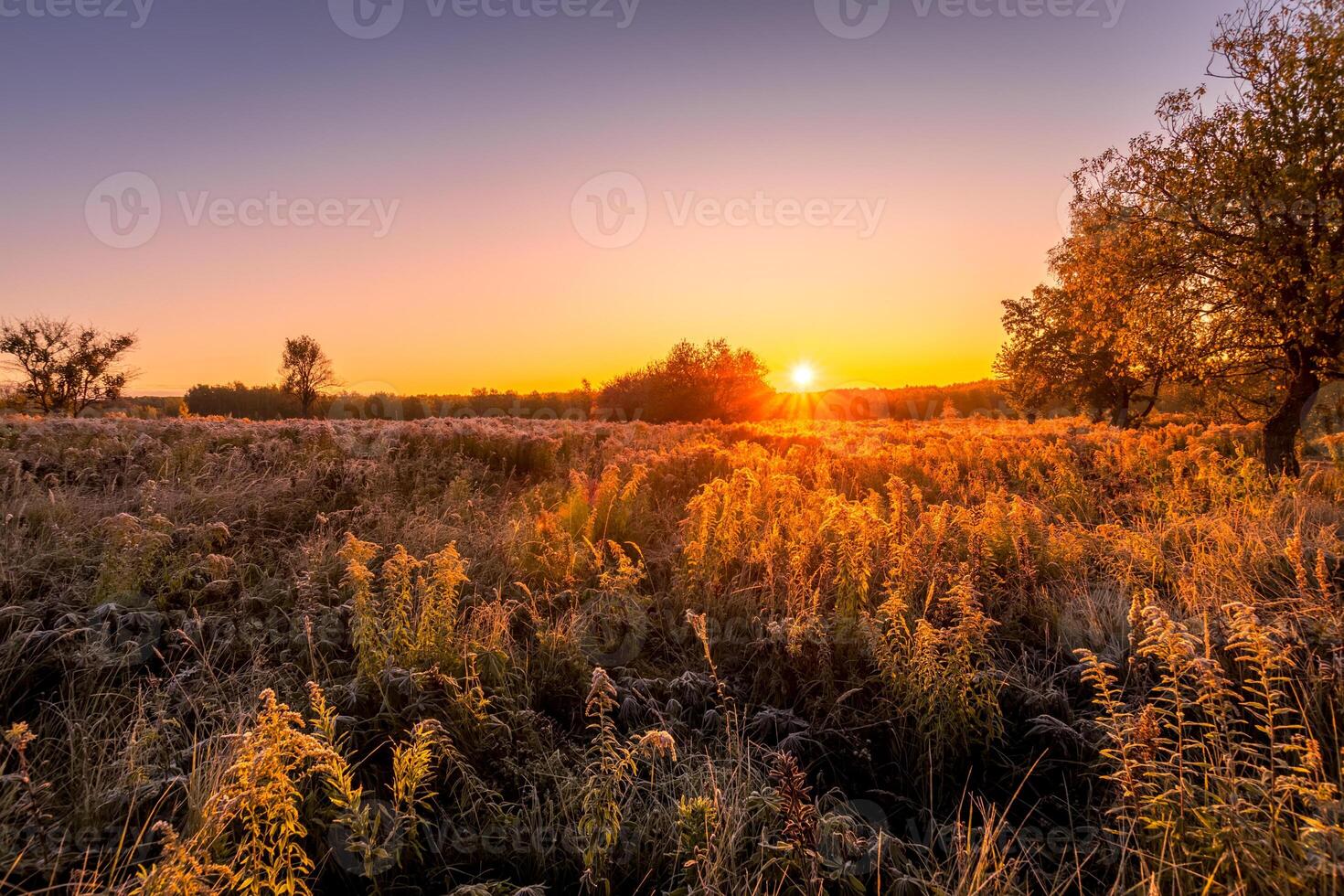 Scene of sunrise on a field covered with frost in early autumn morning. photo
