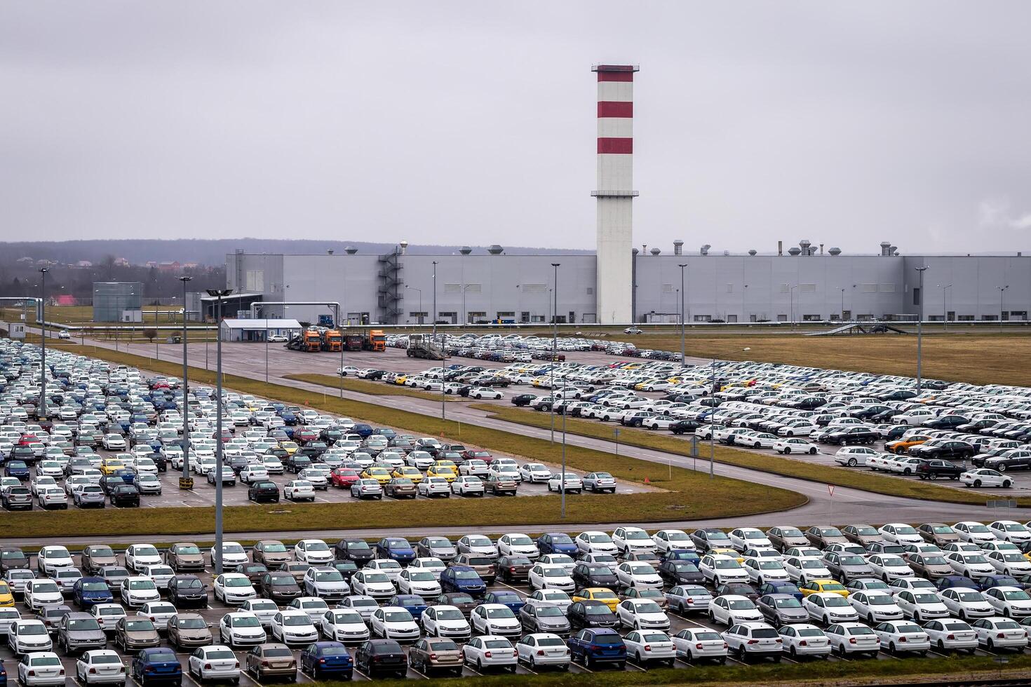 New cars parked in a distribution center on a cloudy rainy day in the autumn, a car factory. photo