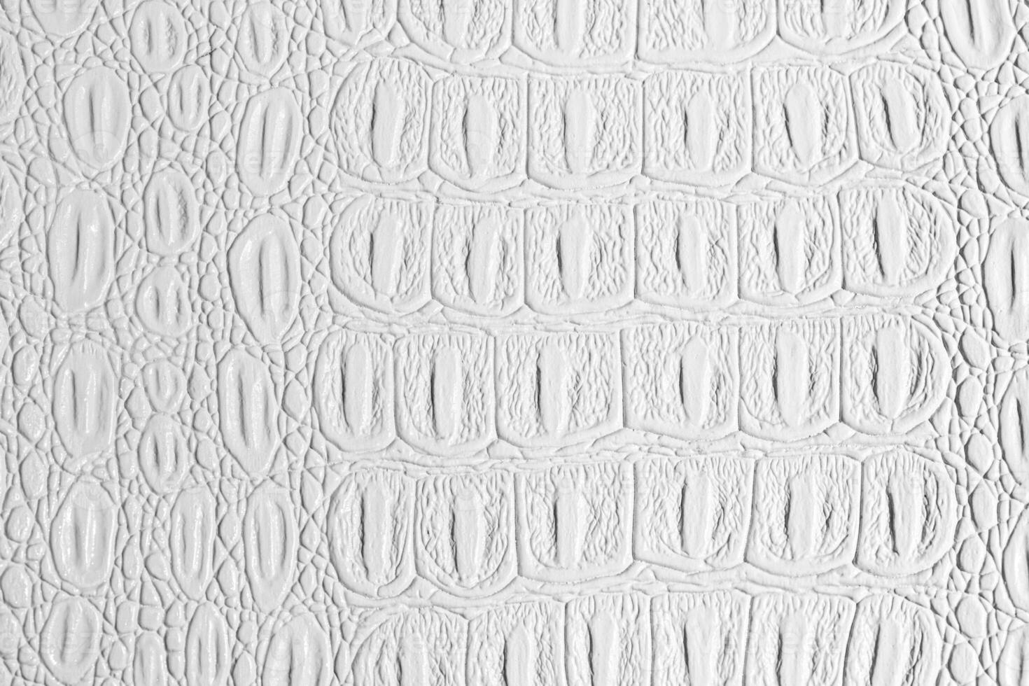 White crocodile leather texture. Abstract backdrop for design with copy space for a text. photo