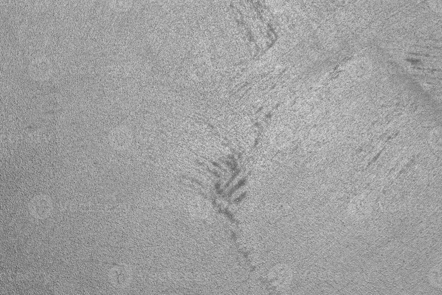 Texture of gray decorative plaster. photo