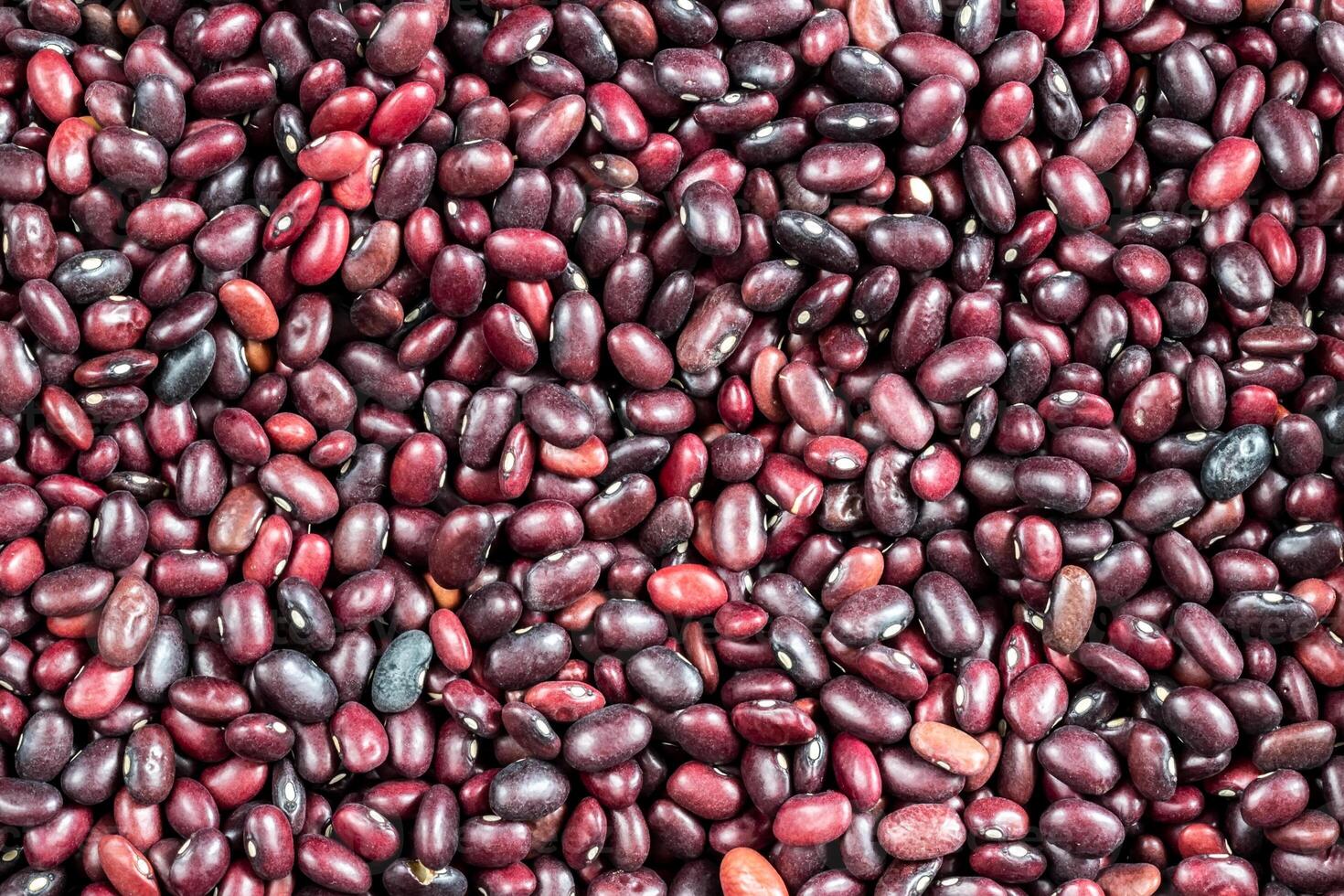 cerca arriba rojo frijol semillas antecedentes. vegano alimento. foto