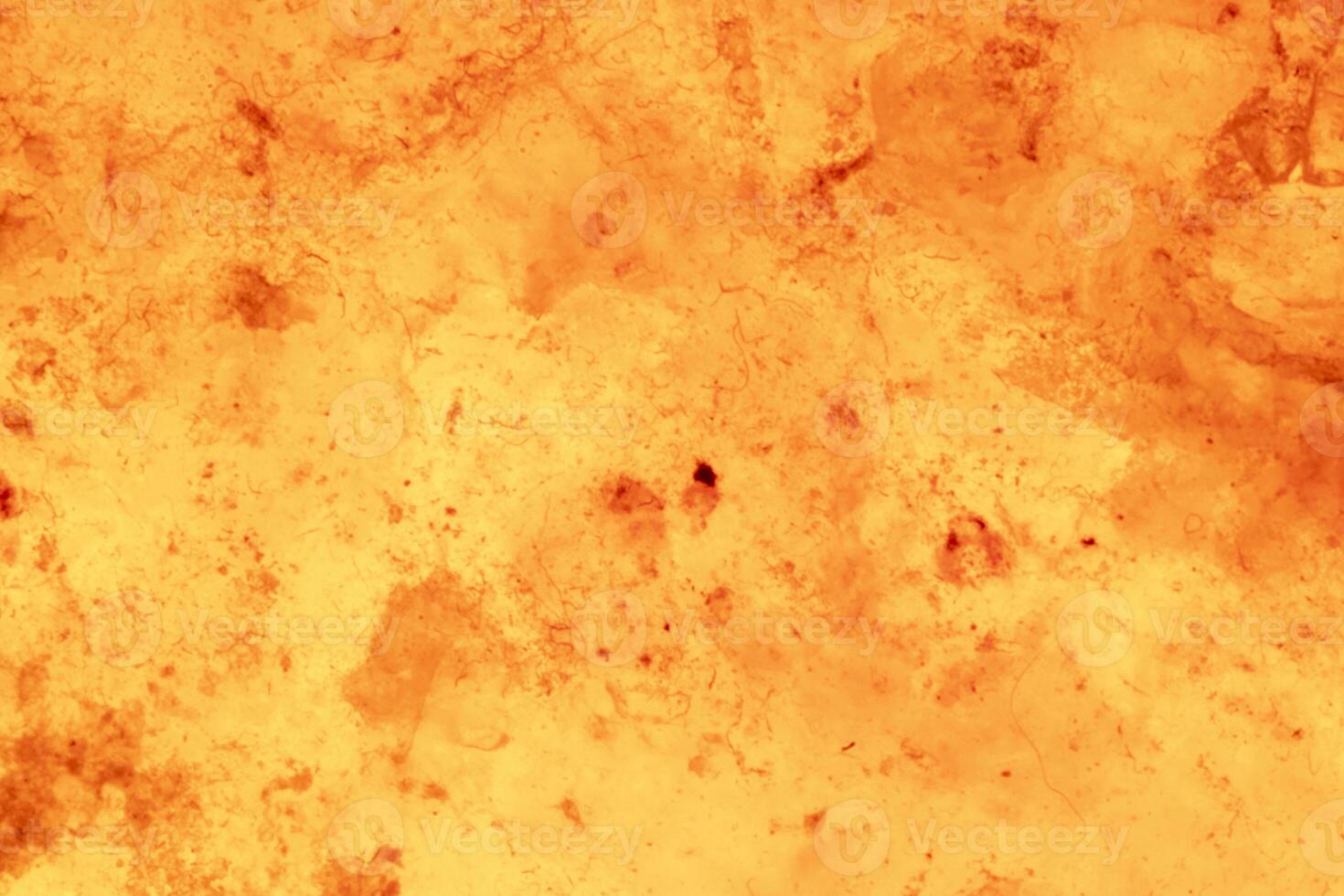 Orange abstract background for design. photo