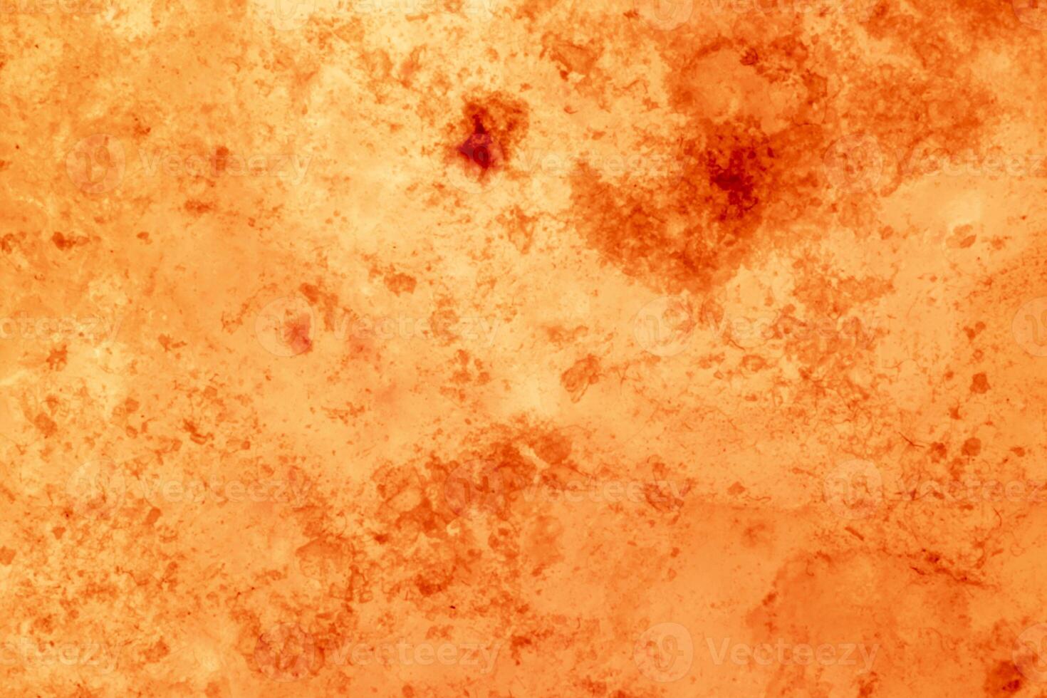 Orange abstract background for design. photo