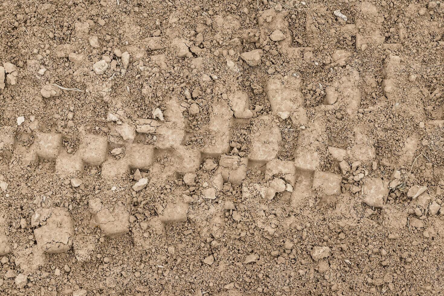 Texture of tire tracks on dry ground. photo