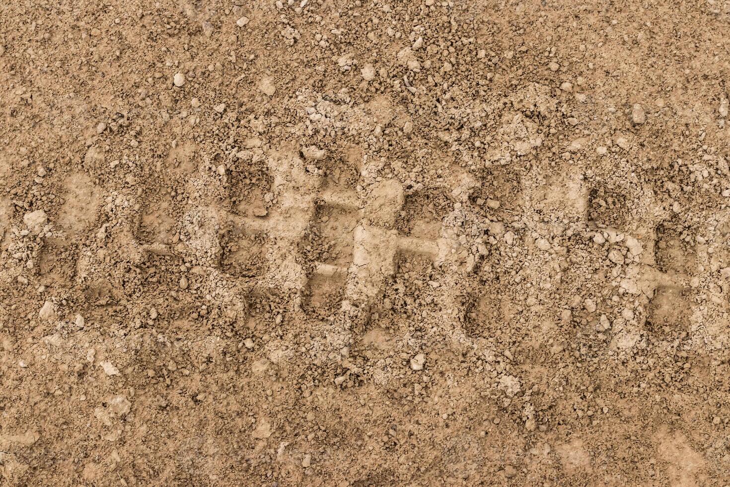 Texture of tire tracks on dry ground. photo