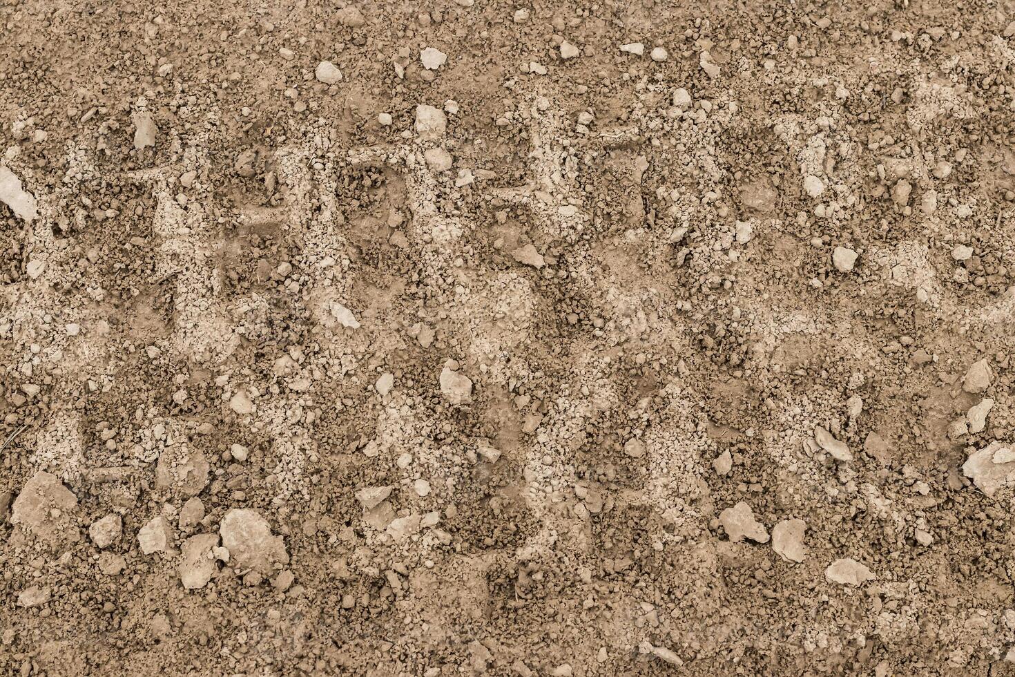 Texture of tire tracks on dry ground. photo
